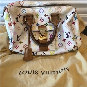 Louis Vuitton speedy 30 multicolor Purse